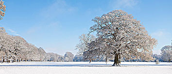 铁岭富辽主场战胜对手，争取中甲保级资格