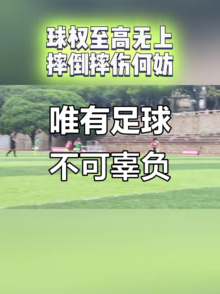 足球场上的激烈拼搏，比赛局势时刻变化万千