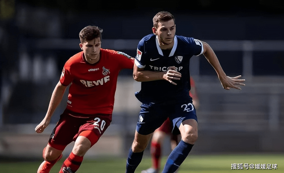 霍芬海姆队主场惊艳表现，引领球队取得胜利