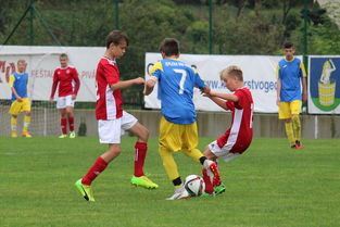 塞尔维亚主帅对球队表现表示满意,期待迎战俄罗斯,塞尔维亚队员名单